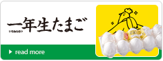 1年生たまご
